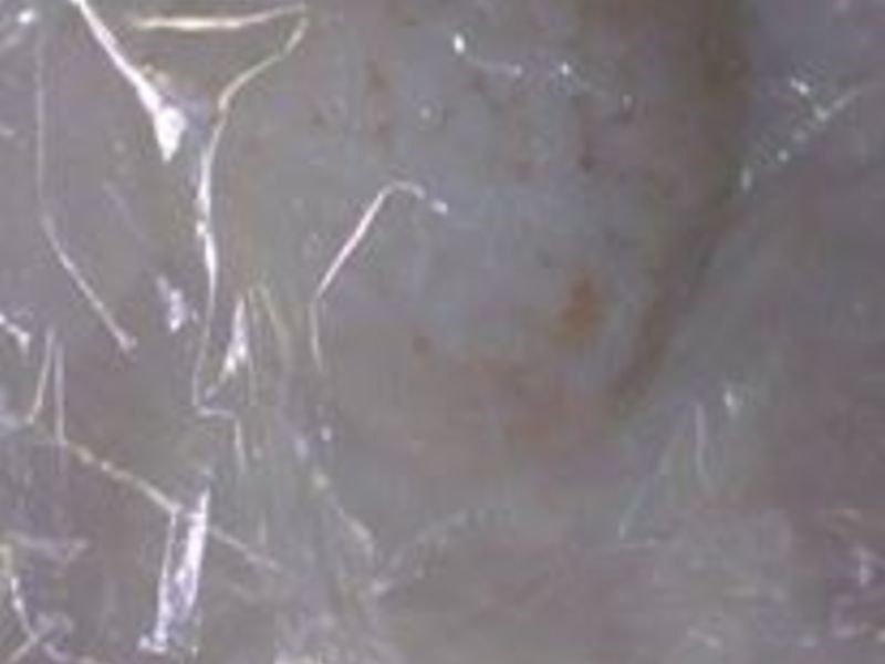 ����˾���ɶ���˼��������