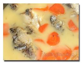 ���ܲ�������������