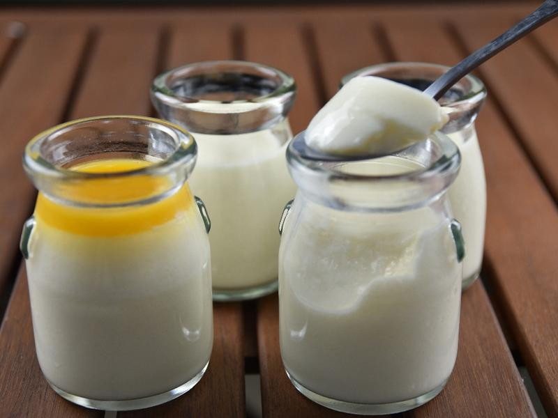 纯鲜乳奶酪的做法