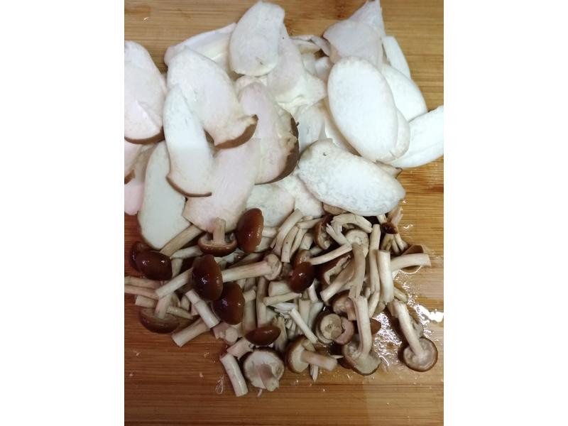 �����������������