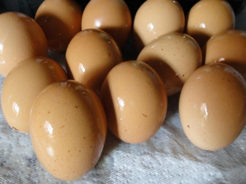 ����ڵ���ݼ�������?!!!������