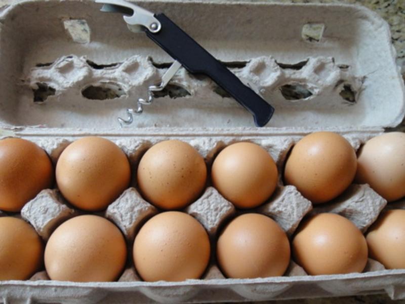 ����ڵ���ݼ�������?!!!������