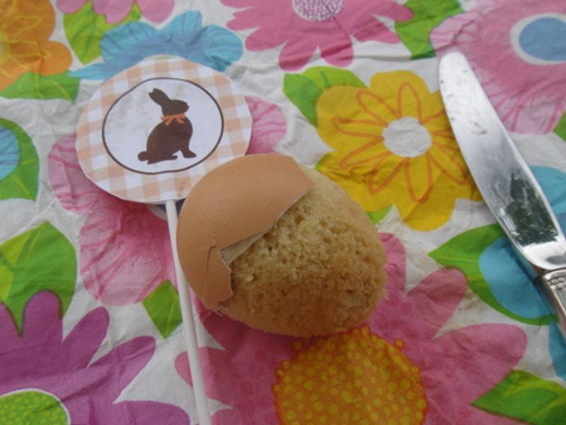 ����ڵ���ݼ�������?!!!������