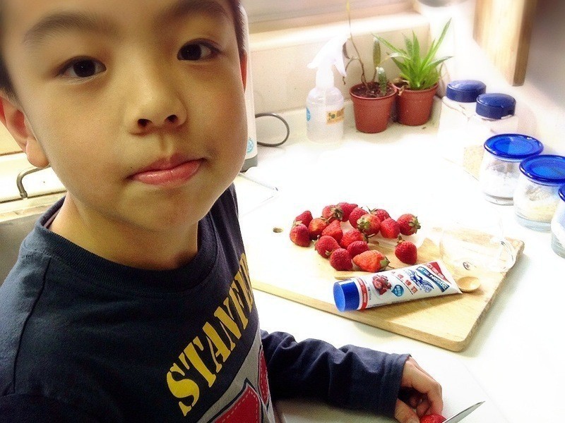 ��ݮŷ��-��ݮ�Ͱ�ӥ�����̵�����