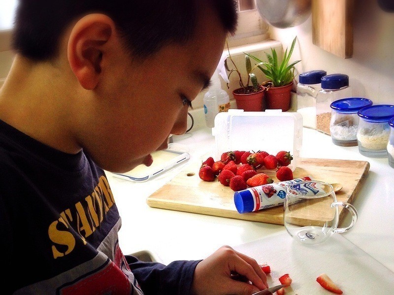 ��ݮŷ��-��ݮ�Ͱ�ӥ�����̵�����