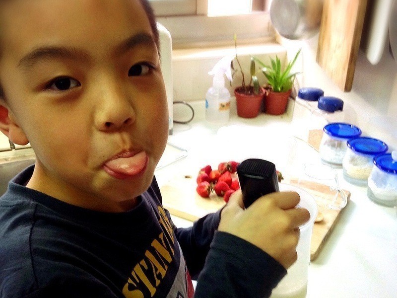 ��ݮŷ��-��ݮ�Ͱ�ӥ�����̵�����