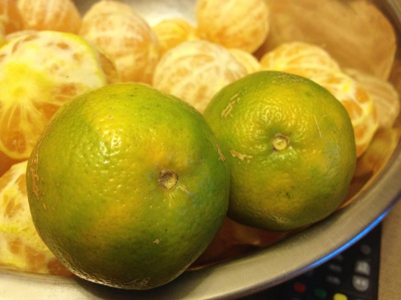 �ͼҽ۽�������