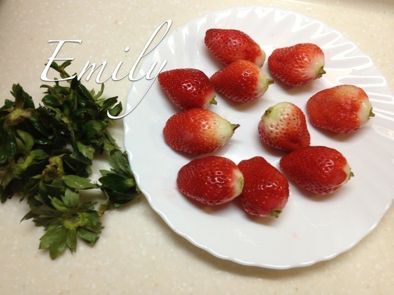 �ɰ�����ү������������