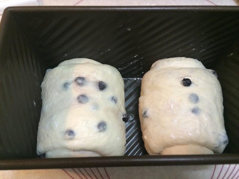 ��ƀ�ƶ�������˾��������ַ���������