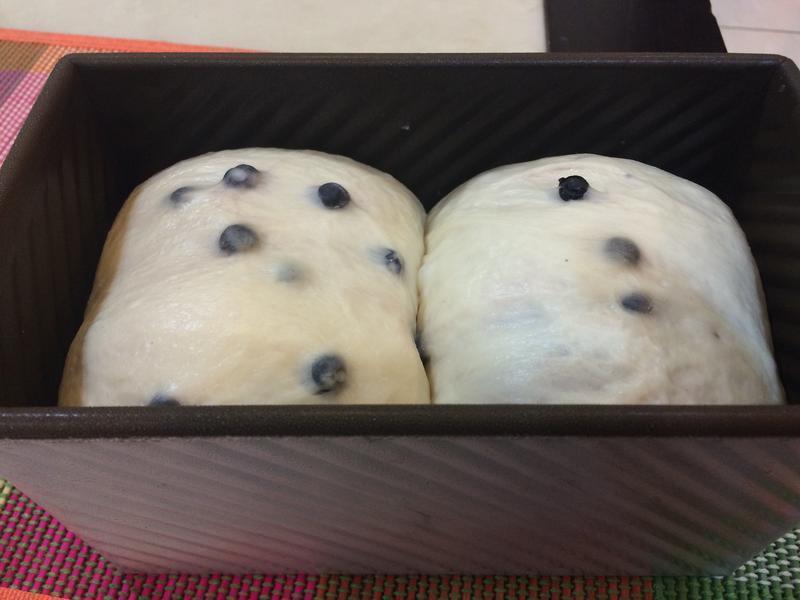 ��ƀ�ƶ�������˾��������ַ���������