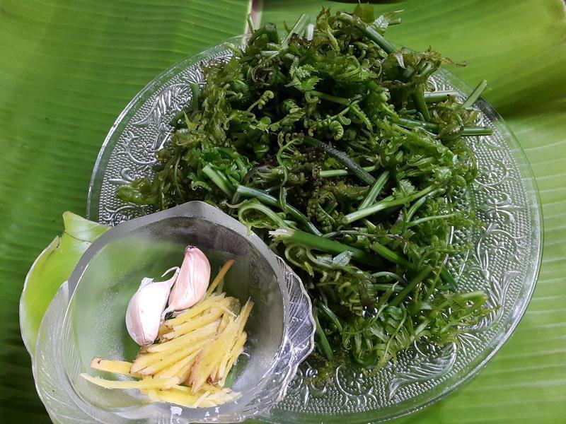 ԭ���ζ-�����è������