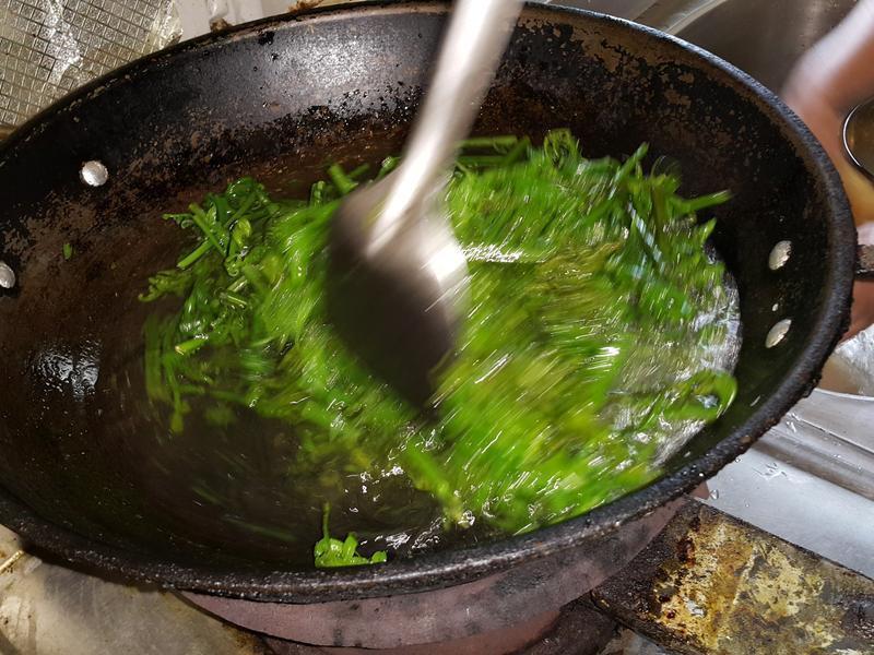 ԭ���ζ-�����è������