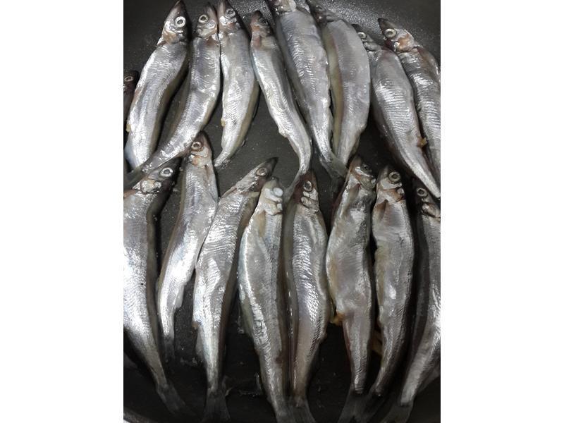 ������Ҷ�������