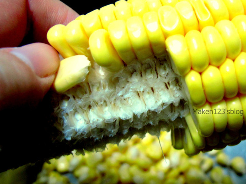 ը����С���ĵ�����