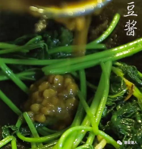 �����峴����Ҷ������