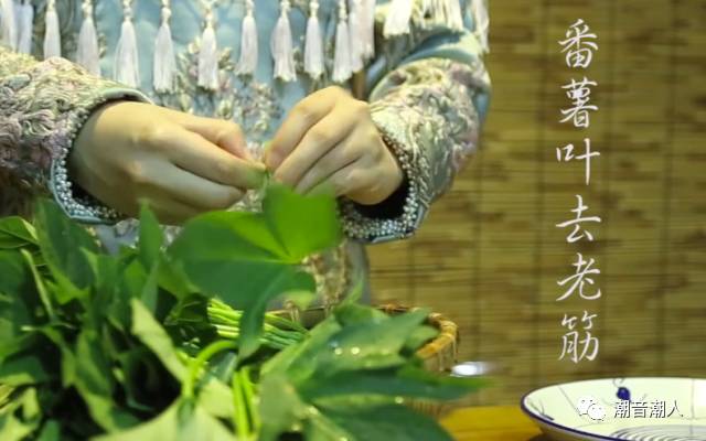 �����峴����Ҷ������