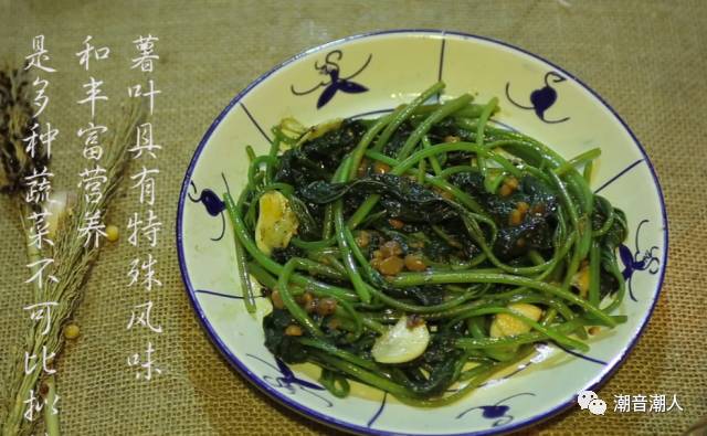 �����峴����Ҷ������