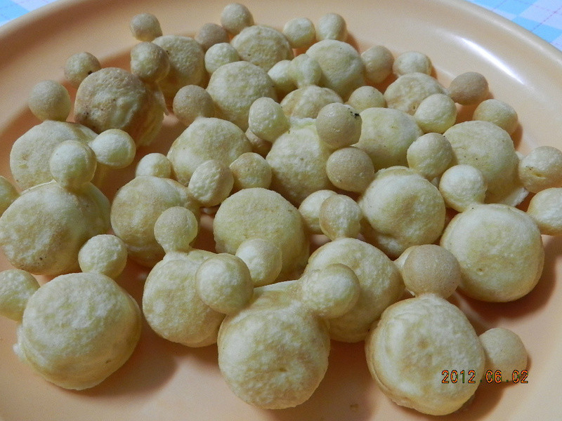 ����С���������