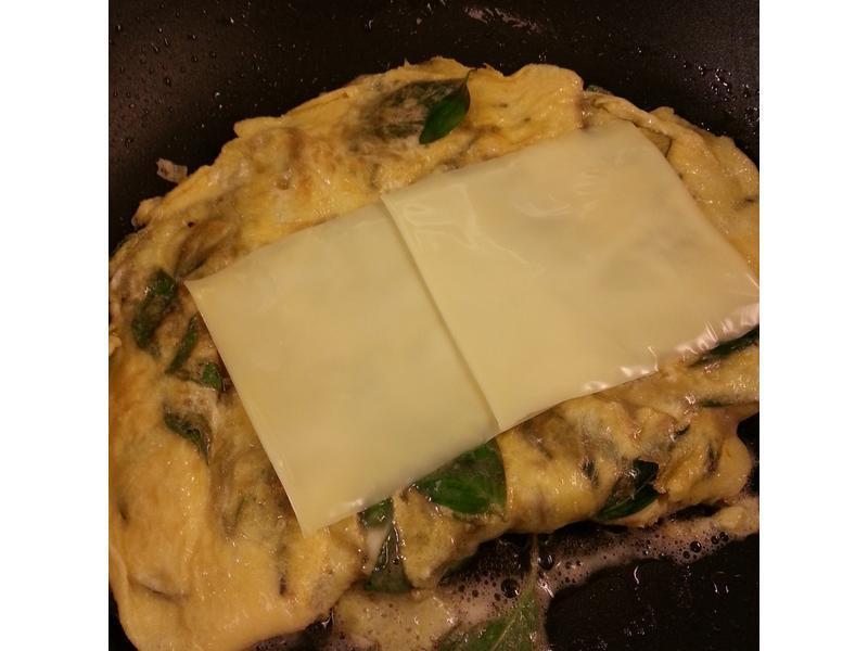 �Ų�����˾����������