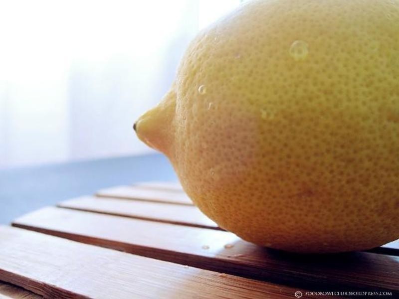 ��������Ƭ������