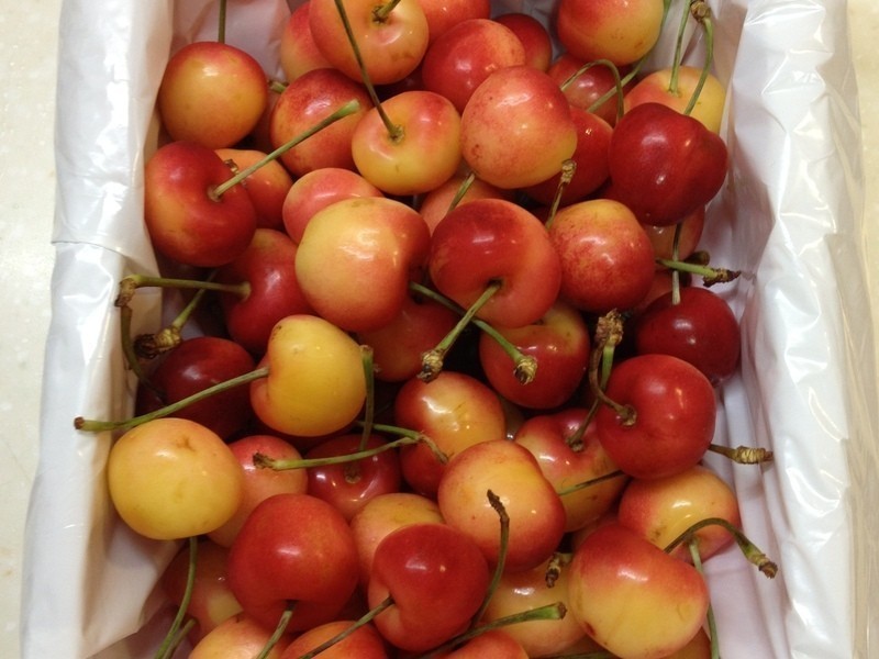 ����������ӣ����������