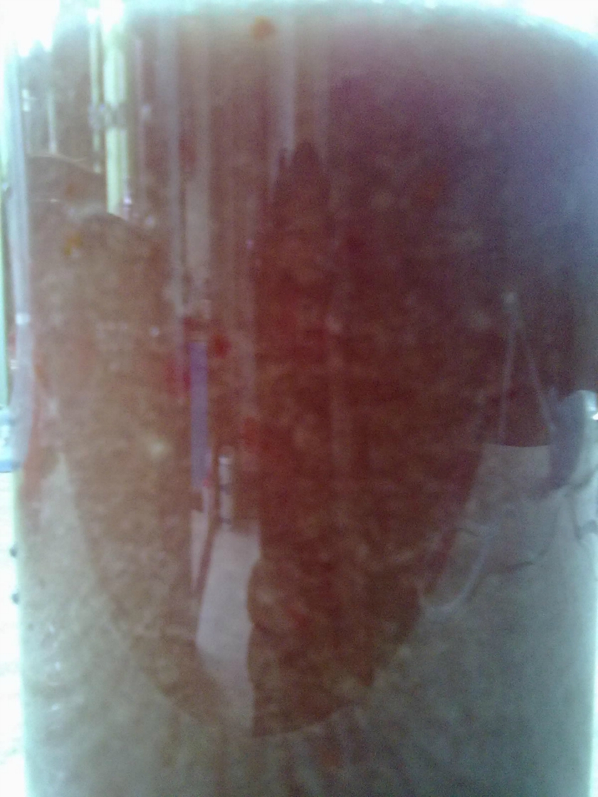 ������ˮ����֭������