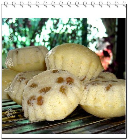 ��������������������