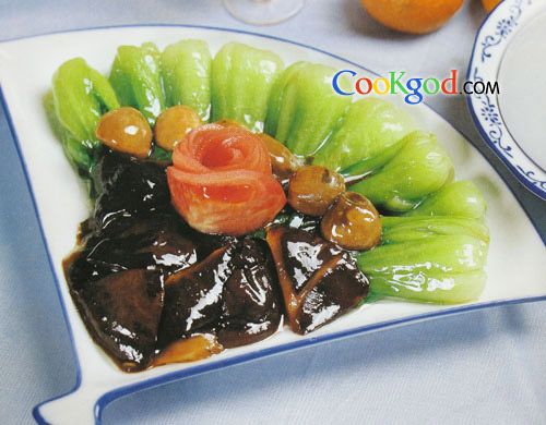 ˫�����ĵ�����