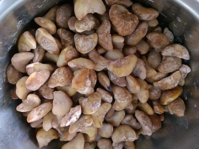 ����ζ���������������