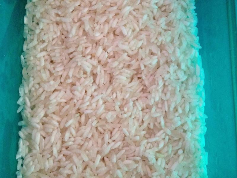 �������������