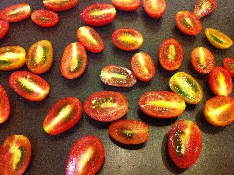 ��ʽ�����������