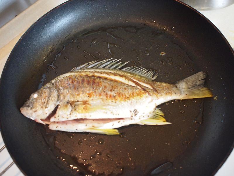 ��ʽ�����������