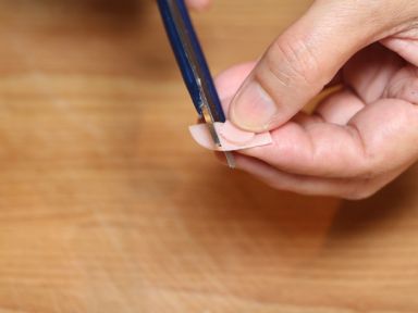 ���������Ρ�����ʳ�á�������