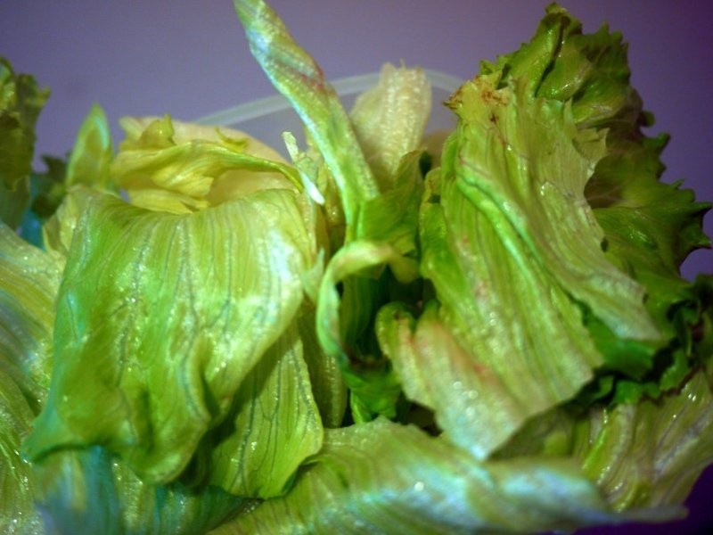 ?���������βͺ�~FRESH������