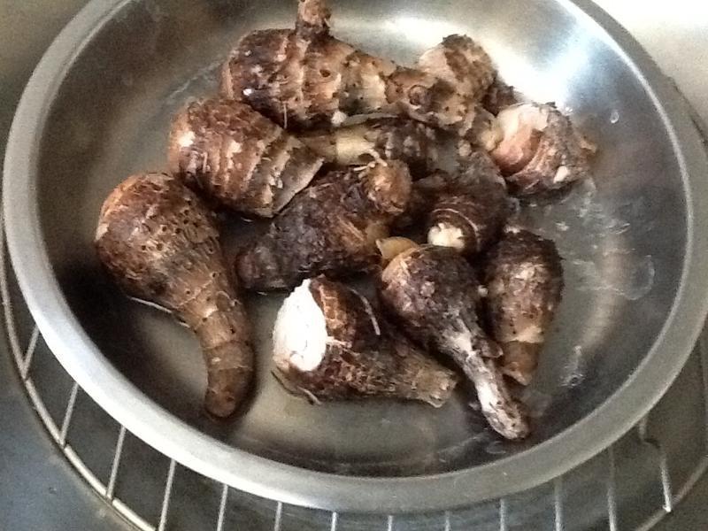 ����ζ-����С��ͷ������