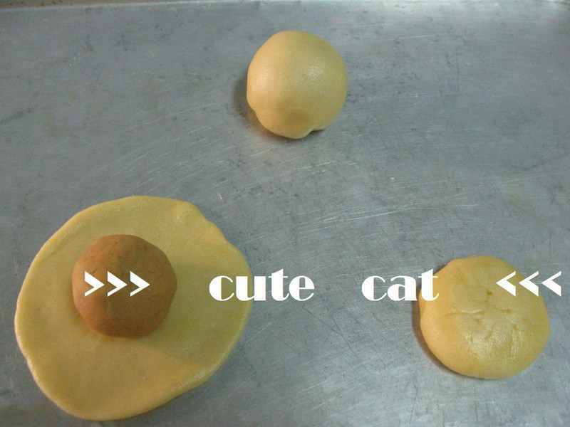 ? ��ͷ�ֱ� ?������