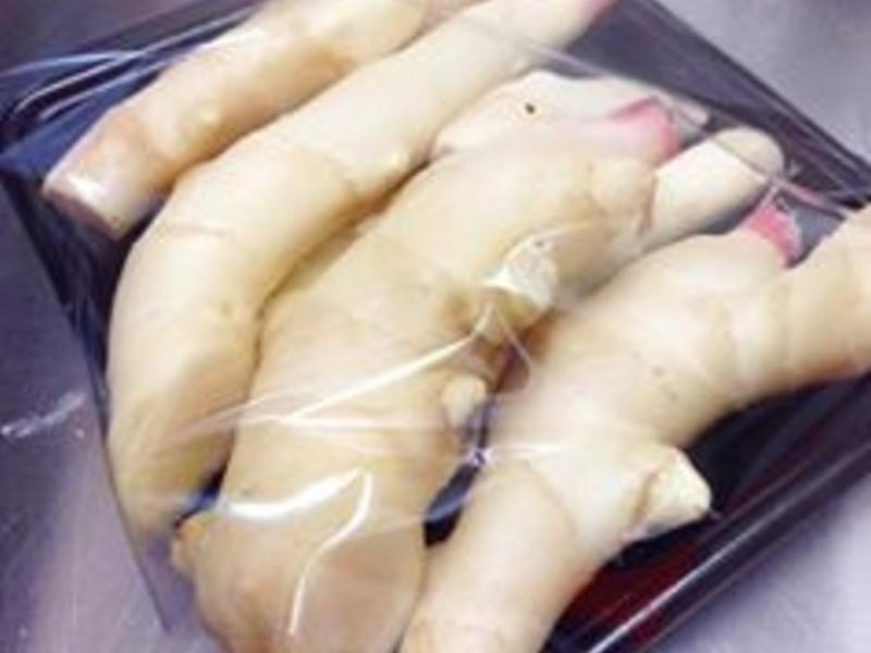 ��ʽ�Z�۽�������