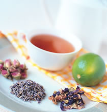 ����ƯƯ�������