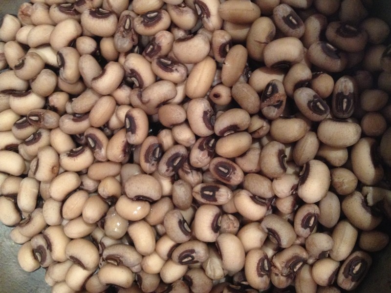 ������?������ʳƷ���׶�֥���ࡣ8M������