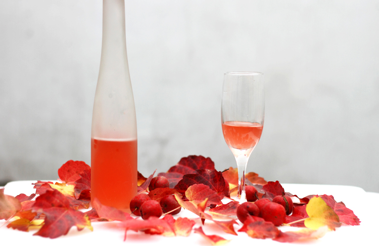 ����ɽ�֭ ���ο�θ������