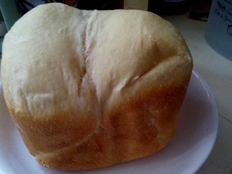 ������ ����������ڣ� �ݶ��� �����������