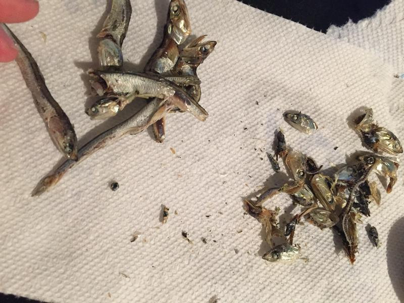 ��ʽ��ƶ�ѿ��������