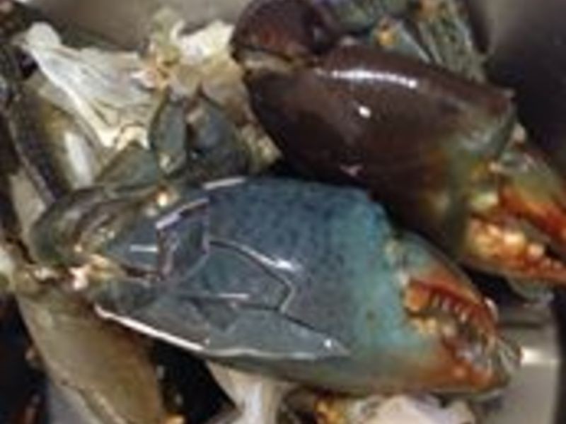 �ְغ�ʳ��ɳ�з������