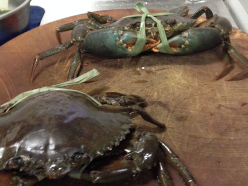 �ְغ�ʳ��ɳ�з������