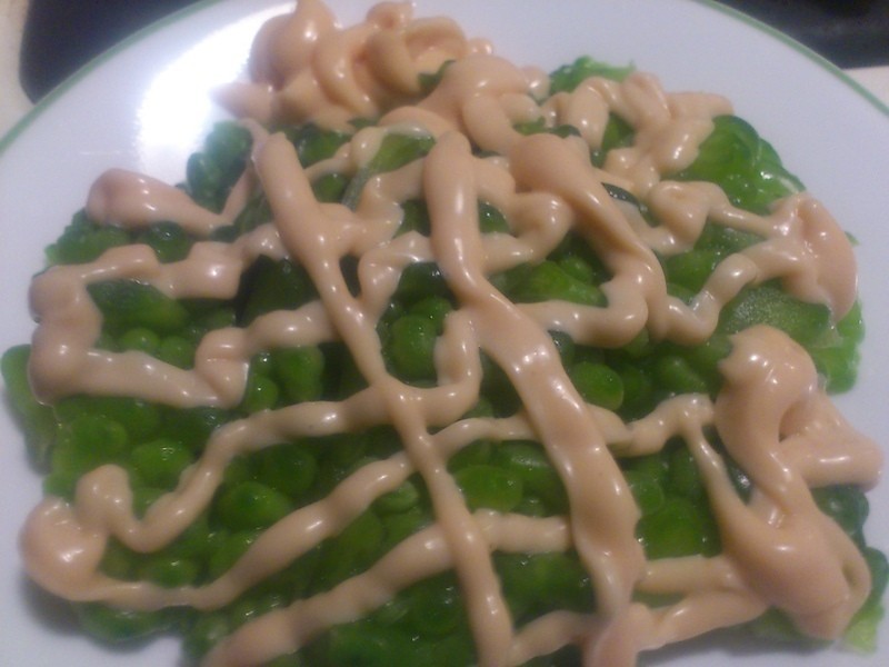 ɽ���ɳ��������