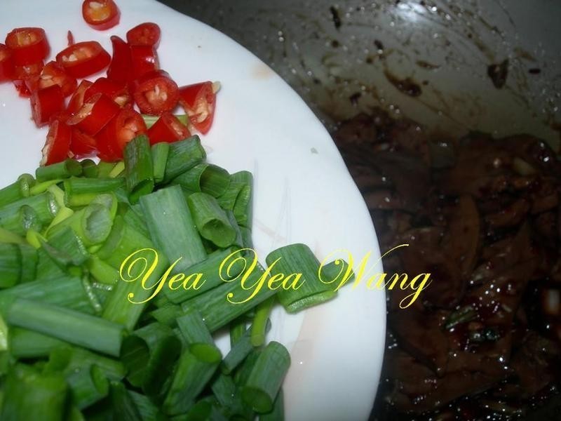 ��������Ƭ������