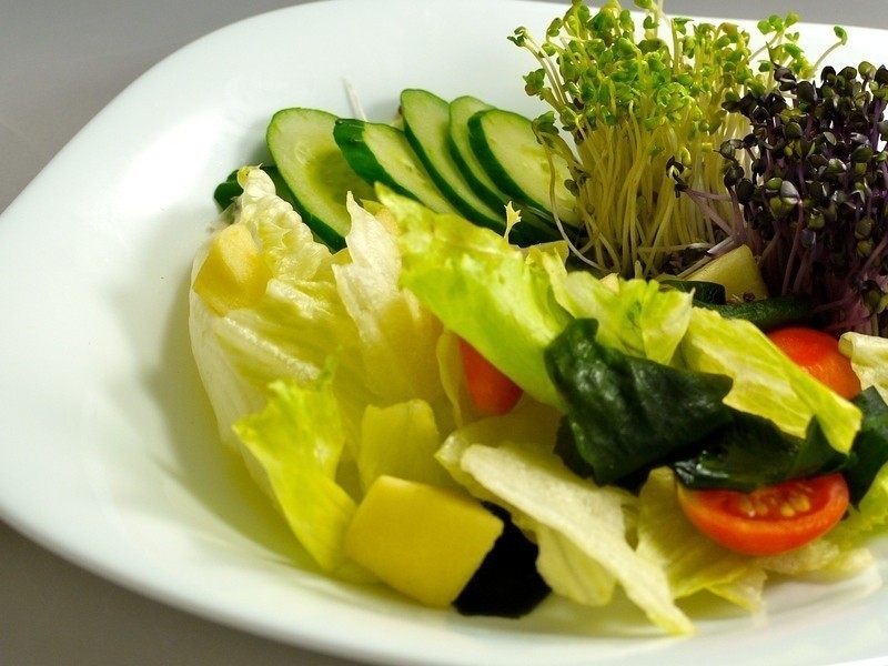 �ͷ�����ɳ��������