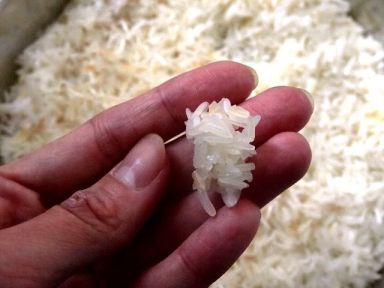 Ŵ�׷��� (�ٷ�ʳ��)������