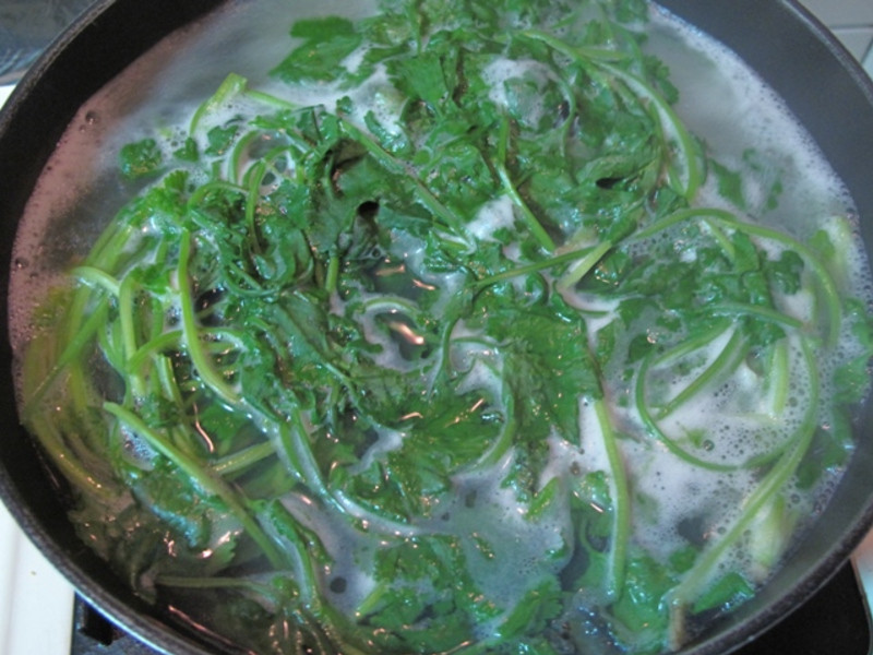 ܾݴƤ����Ƭ��������