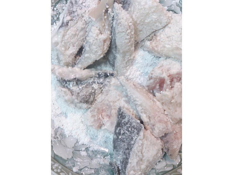 ��ɳ���� ���ָ��������������